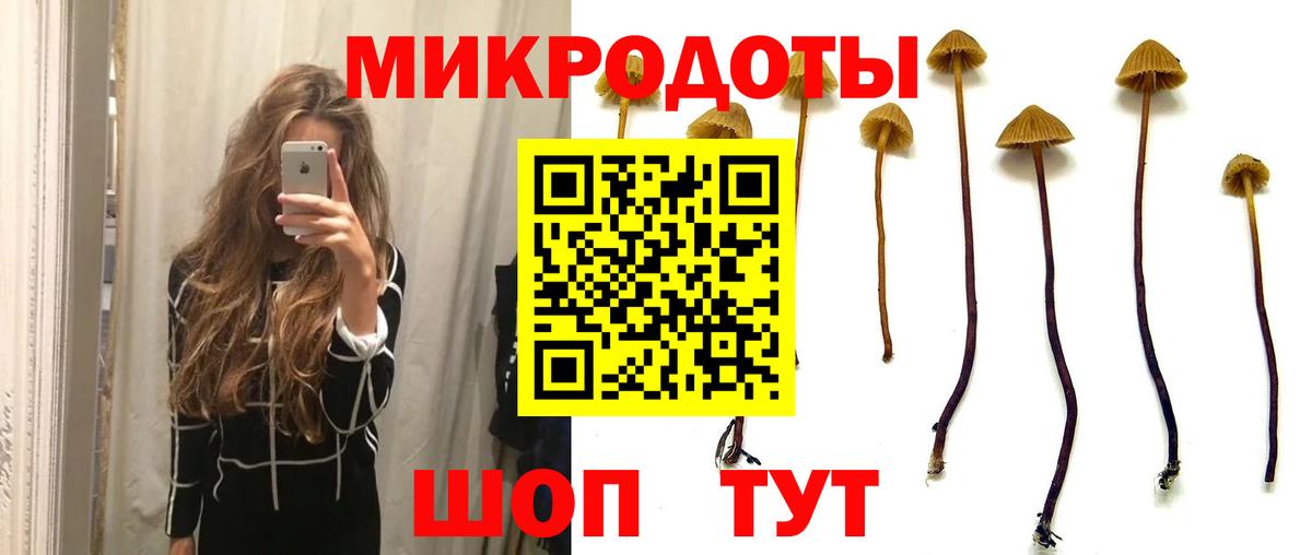 Псилоцибиновые грибы мухоморы  Вход с VPN  Чита 